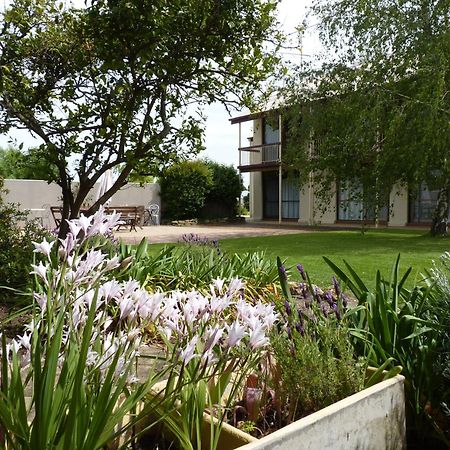 Coonawarra Motor Lodge Penola Exteriér fotografie