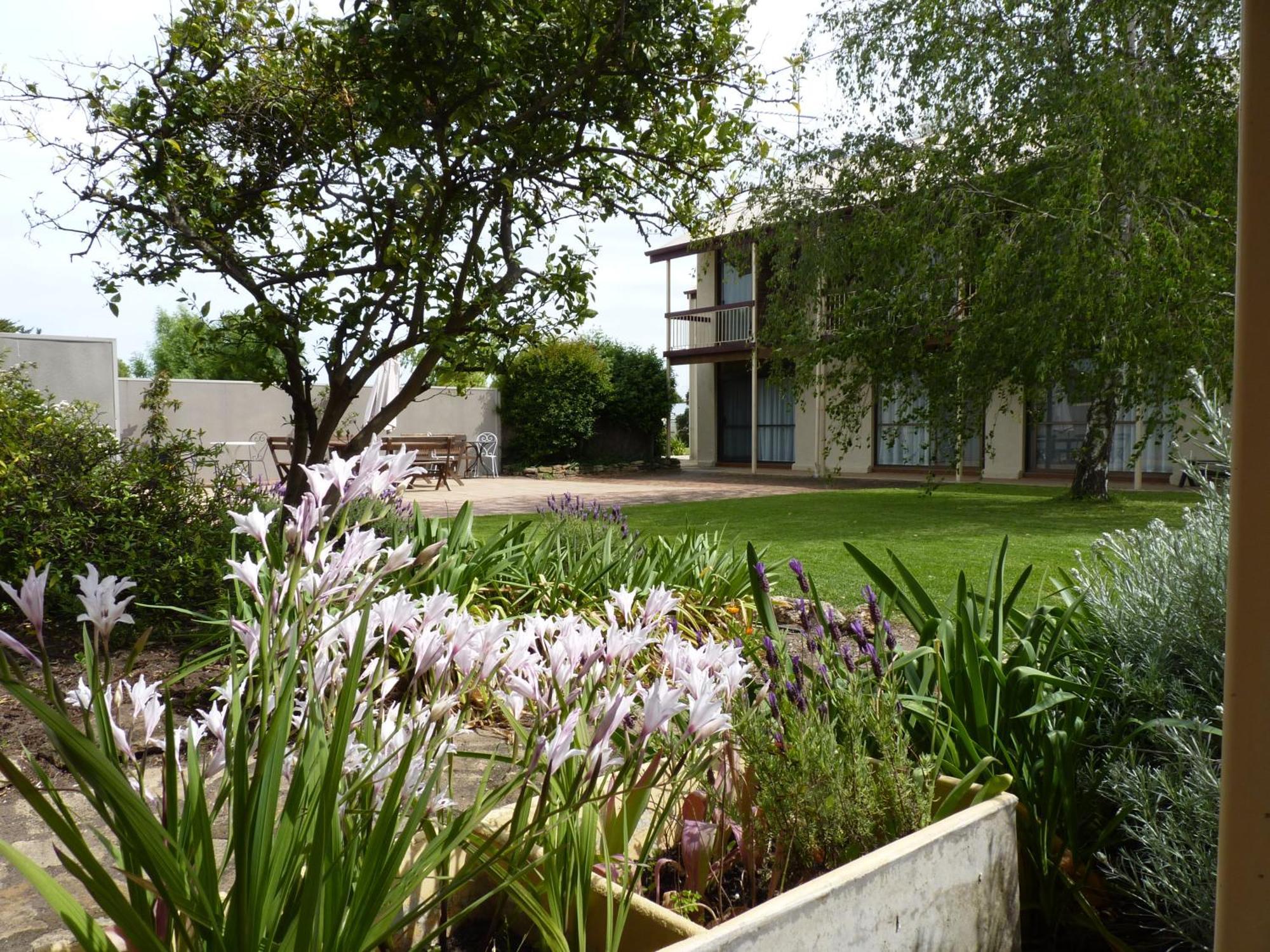 Coonawarra Motor Lodge Penola Exteriér fotografie